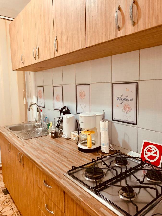 Ultracentral Apartment With All You Need: Wifi, Tv, Ac, Washer, Coffe Тимишоара Экстерьер фото