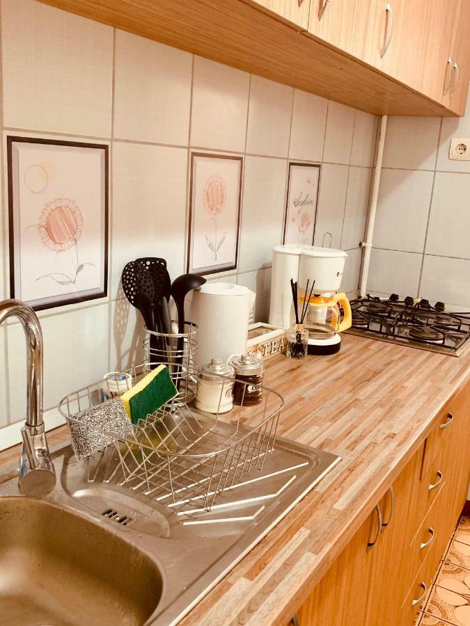 Ultracentral Apartment With All You Need: Wifi, Tv, Ac, Washer, Coffe Тимишоара Экстерьер фото