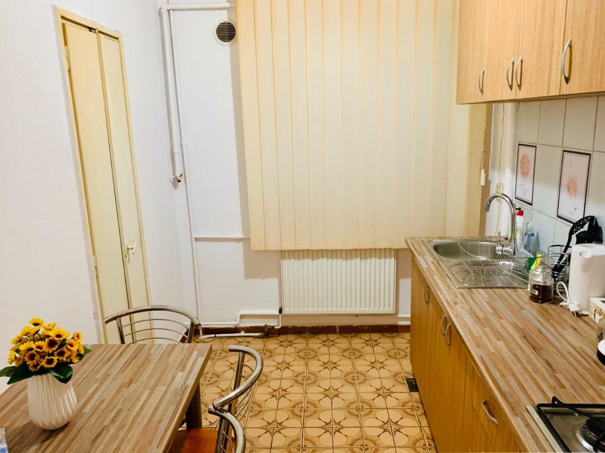 Ultracentral Apartment With All You Need: Wifi, Tv, Ac, Washer, Coffe Тимишоара Экстерьер фото