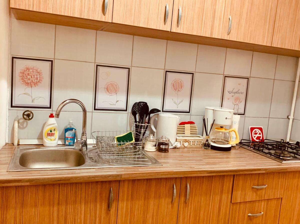 Ultracentral Apartment With All You Need: Wifi, Tv, Ac, Washer, Coffe Тимишоара Экстерьер фото